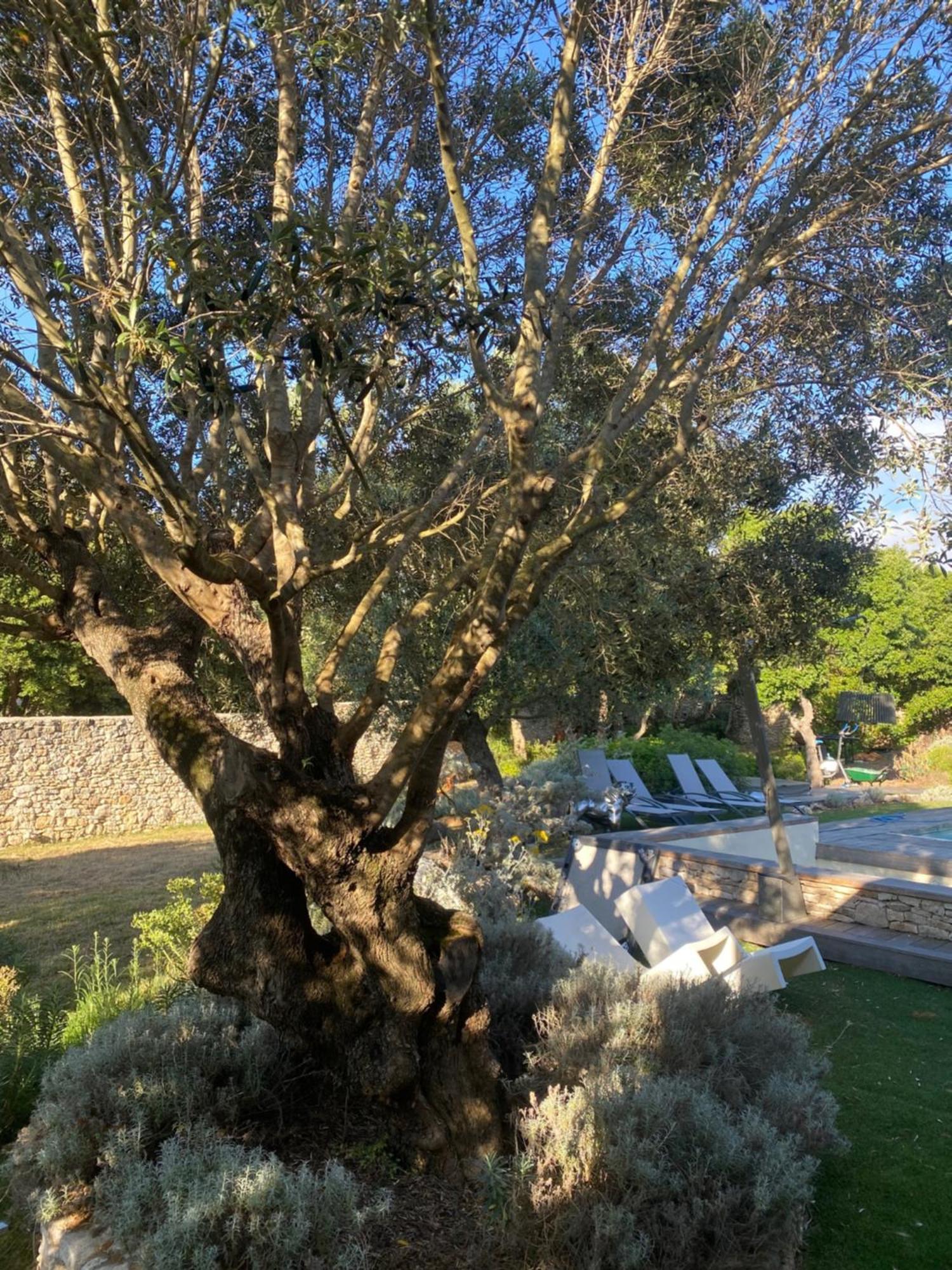 Appartamento Casa Felicia Bonifacio  Esterno foto