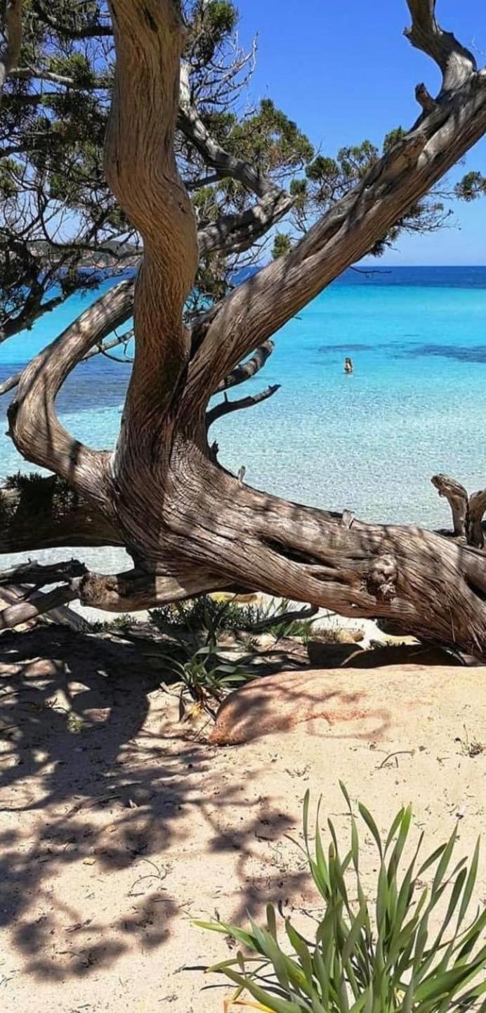 Appartamento Casa Felicia Bonifacio  Esterno foto